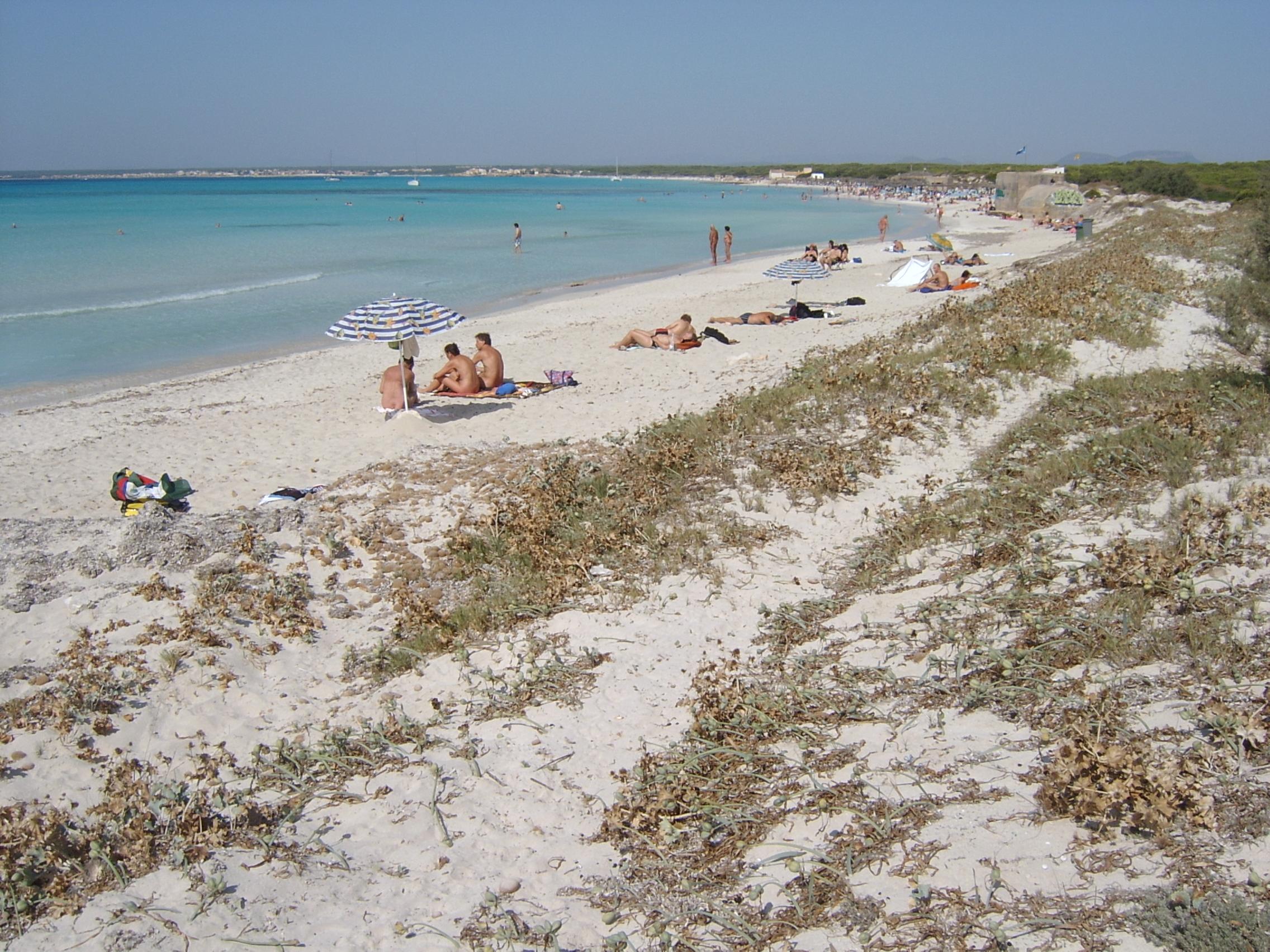 קולוניה סנט ג'ורדי Aparthotel Isla De Cabrera מראה חיצוני תמונה